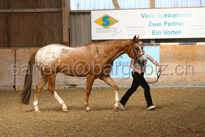 24-ApHC HIH_098.jpg